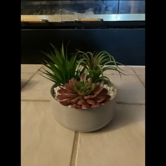 Artificial Plant Home Decor - Picture 1 of 3